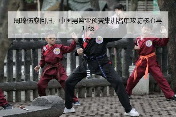 周琦伤愈回归，中国男篮亚预赛集训名单攻防核心再升级 - yaxin